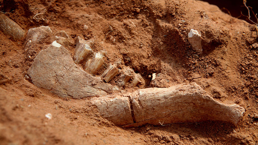What is Radiocarbon Dating